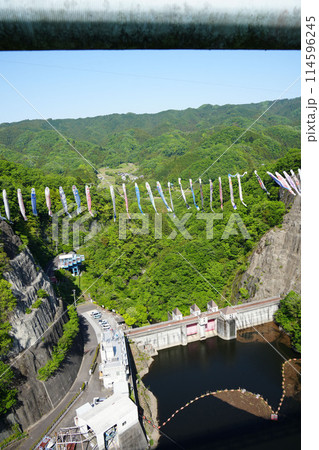 竜神大吊橋　こいのぼり祭り 114596245