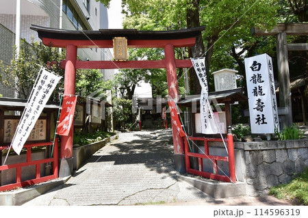 洲崎神社横の白龍龍壽社 洲崎神社横の白龍龍壽社 114596319