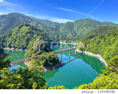 新緑燃える奥大井湖上駅 114596596