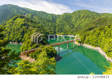 新緑燃える奥大井湖上駅 114596613