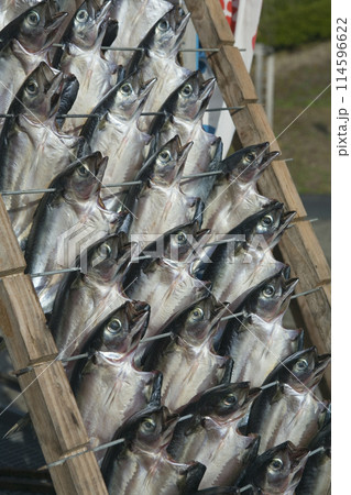 鯖の干物 114596622