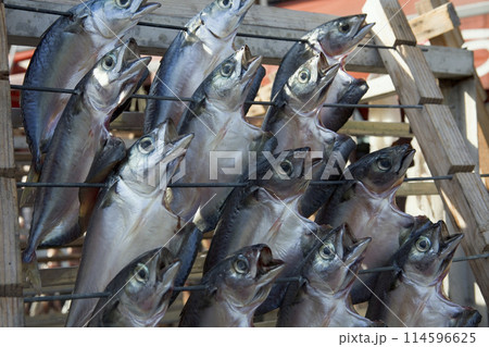 鯖の干物 114596625