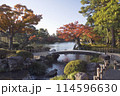 兼六園　紅葉徽軫灯籠と虹橋 114596630