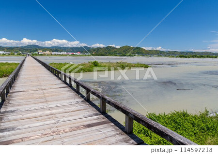 蓬莱橋から増水した大井川を望む 114597218