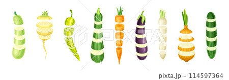 Sliced Vegetable Vertical with Cut Pieces Vector Set 114597364