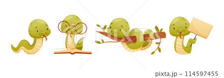 Cute Green Snake Funny Wild Baby Reptile Vector Set 114597455
