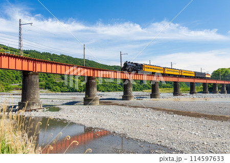 大井川第一橋梁を疾走するC10 114597633