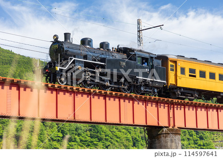 大井川第一橋梁を疾走するC10 大井川第一橋梁を疾走するC10 114597641