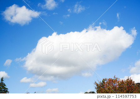 秋の空に浮かぶ雲 114597753