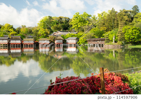 長岡天神 114597906