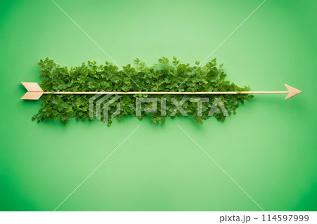Arrow covered with green plants against green background. 114597999