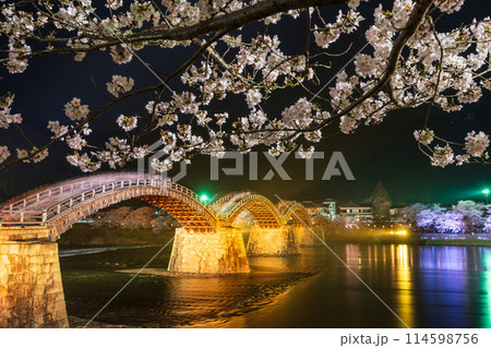 錦帯橋の桜 夜のライトアップ 岩国市 錦帯橋の桜 夜のライトアップ 岩国市 114598756