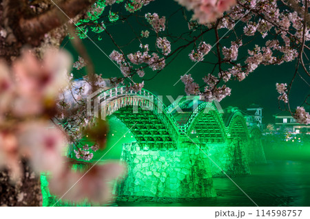 錦帯橋の桜　夜のライトアップ  岩国市 114598757