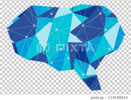 脳・AI・人工知能のイメージのイラスト(ポリゴン風・青系) 脳・AI・人工知能のイメージのイラスト(ポリゴン風・青系) 114598834