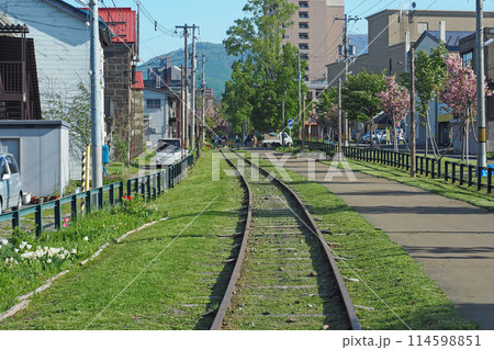 小樽　旧国鉄手宮線の散策路 114598851