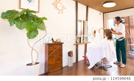 ヘアサロンにて施術を行う男性美容師と女性客 ヘアサロンにて施術を行う男性美容師と女性客 114599048
