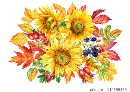 Bouquet of Sunflower flowers, berries, leaves Watercolor. Vintage Fall botanical painting autumn illustration clipart 114599180