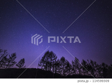 長野県　信州阿智村にある富士見台高原の日本一の星空。天空の楽園 ナイトツアー。 114599309