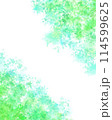 葉っぱ 114599625