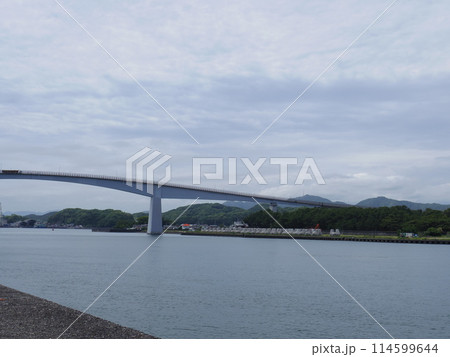 浦戸大橋(高知県高知市) 浦戸大橋(高知県高知市) 114599644