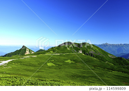 朝の乗鞍大黒岳からの風景（撮影地：乗鞍、大黒岳） 114599809