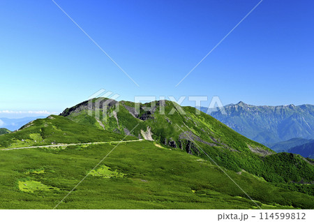 朝の乗鞍大黒岳からの風景（撮影地：乗鞍、大黒岳） 114599812