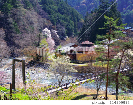 山梨県丹波山村の春 114599952