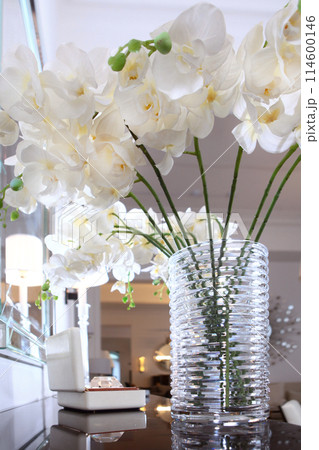 Flowers in a glass vase. A bouquet of white orchids in the interior. A vase with beautiful orchid flowers on the dresser in the living room. 114600146