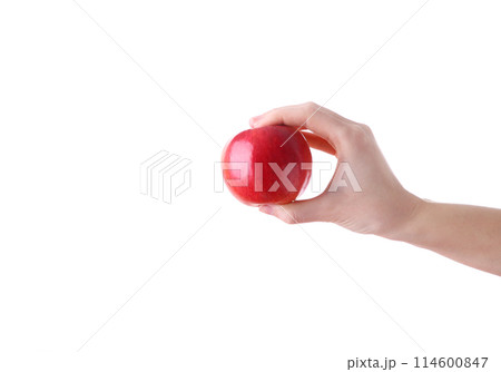 Female hand holding red apple isolated on white background Female hand holding red apple isolated on white background 114600847