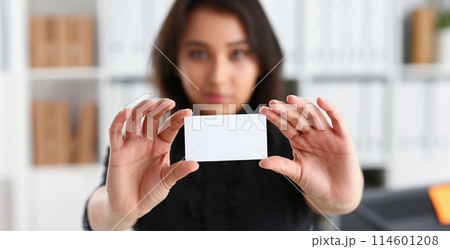 portrait of businesswoman work in office show cutaway 114601208
