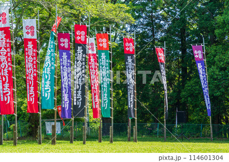 長篠合戦のぼりまつり、カラフルな幟〈愛知県新城市〉 長篠合戦のぼりまつり、カラフルな幟〈愛知県新城市〉 114601304