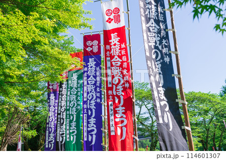 長篠合戦のぼりまつり、カラフルな幟〈愛知県新城市〉 114601307