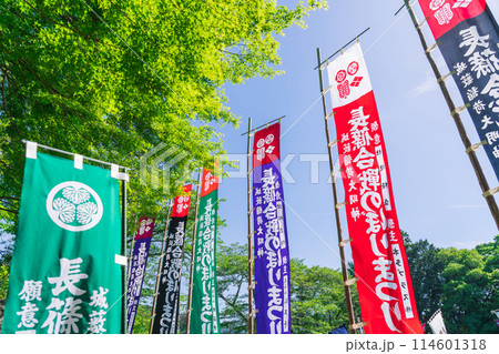長篠合戦のぼりまつり、カラフルな幟〈愛知県新城市〉 114601318