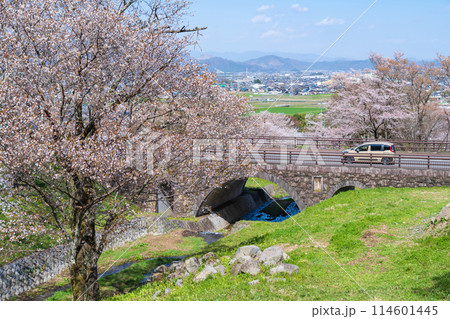 春の霞間ヶ渓、満開の桜〈岐阜県揖斐郡〉 114601445