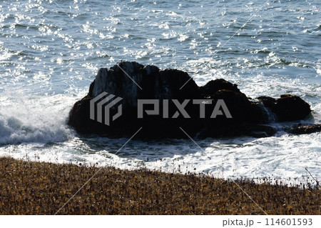岩に砕ける冬の荒波 114601593
