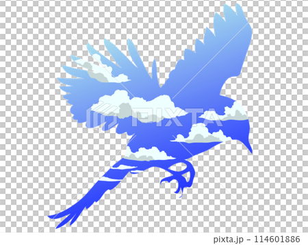 Blue bird and blue sky Blue bird and blue sky 114601886