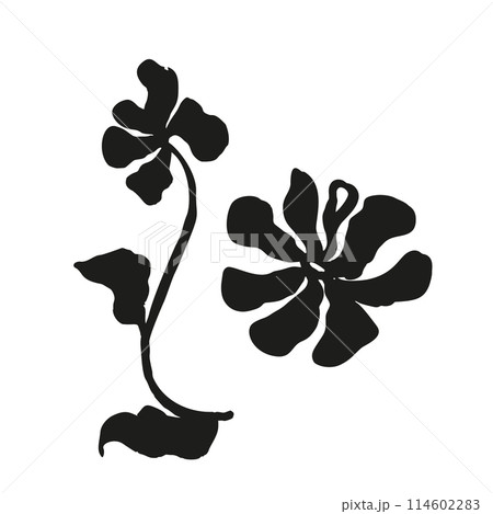 Ink brush abstract flower sketch isolated on white 114602283