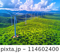 Wind farm with multiple turbines set against a lush green landscape under a clear blue sky with scattered clouds 114602400