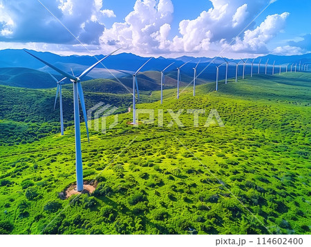 Wind farm with multiple turbines set against a lush green landscape under a clear blue sky with scattered clouds 114602400