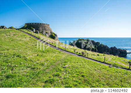 「青森県」葦毛崎展望台の風景 種差海岸 「青森県」葦毛崎展望台の風景 種差海岸 114602492