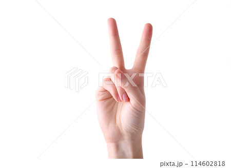 Female hand gesture isolated on a white background Female hand gesture isolated on a white background 114602818