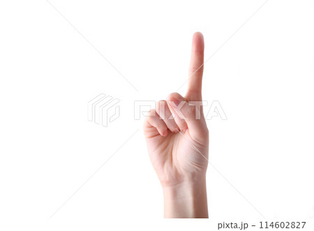 Female hand gesture isolated on a white background Female hand gesture isolated on a white background 114602827