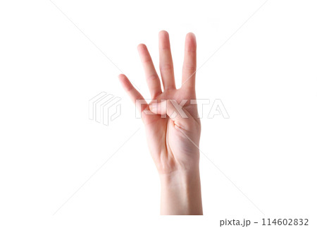 Female hand gesture isolated on a white background 114602832
