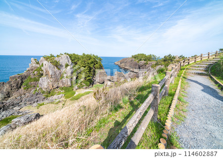 「青森県」春の種差海岸の風景　みちのく潮風トレイル 114602887