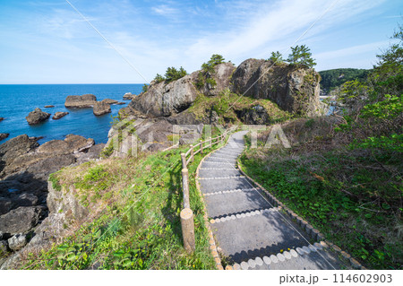 「青森県」春の種差海岸の風景　みちのく潮風トレイル 114602903
