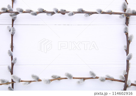 Willow catkins on a white wooden background with copy space, easter 114602916