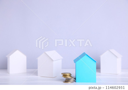 Paper town. Papercraft house and papercraft building with coin 114602931