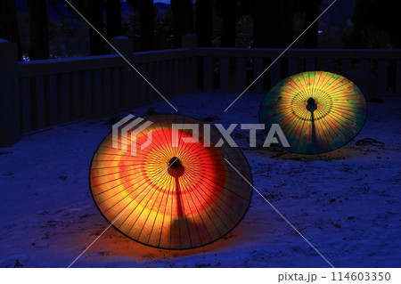 岩手県花巻市　雪景色とライトアップ 114603350