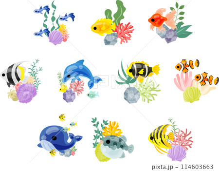 アクアリウムを彷彿とさせる、美しい魚たちのアイコンセットです。 114603663