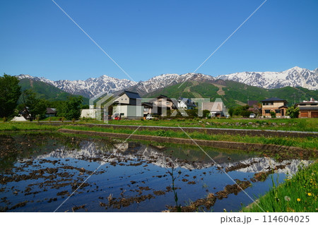 田植え前の水田に映る北アルプス 田植え前の水田に映る北アルプス 114604025